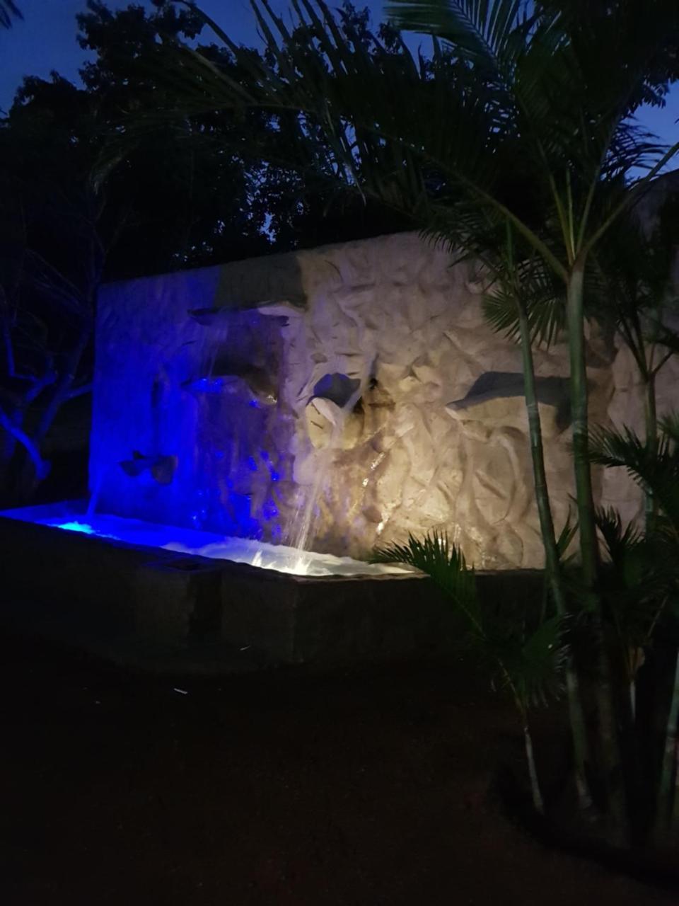 헤이지뷰 Numbi Hills Self-Catering 빌라 외부 사진